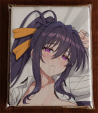 Akeno Himejima (Ver.2) - Anime Pillowcase Fan-Art Edition