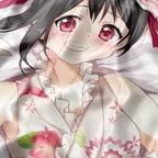 Yazawa Nico - AnimePillow Fan-Art Edition