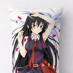 Akame - AnimePillow Fan-Art Edition