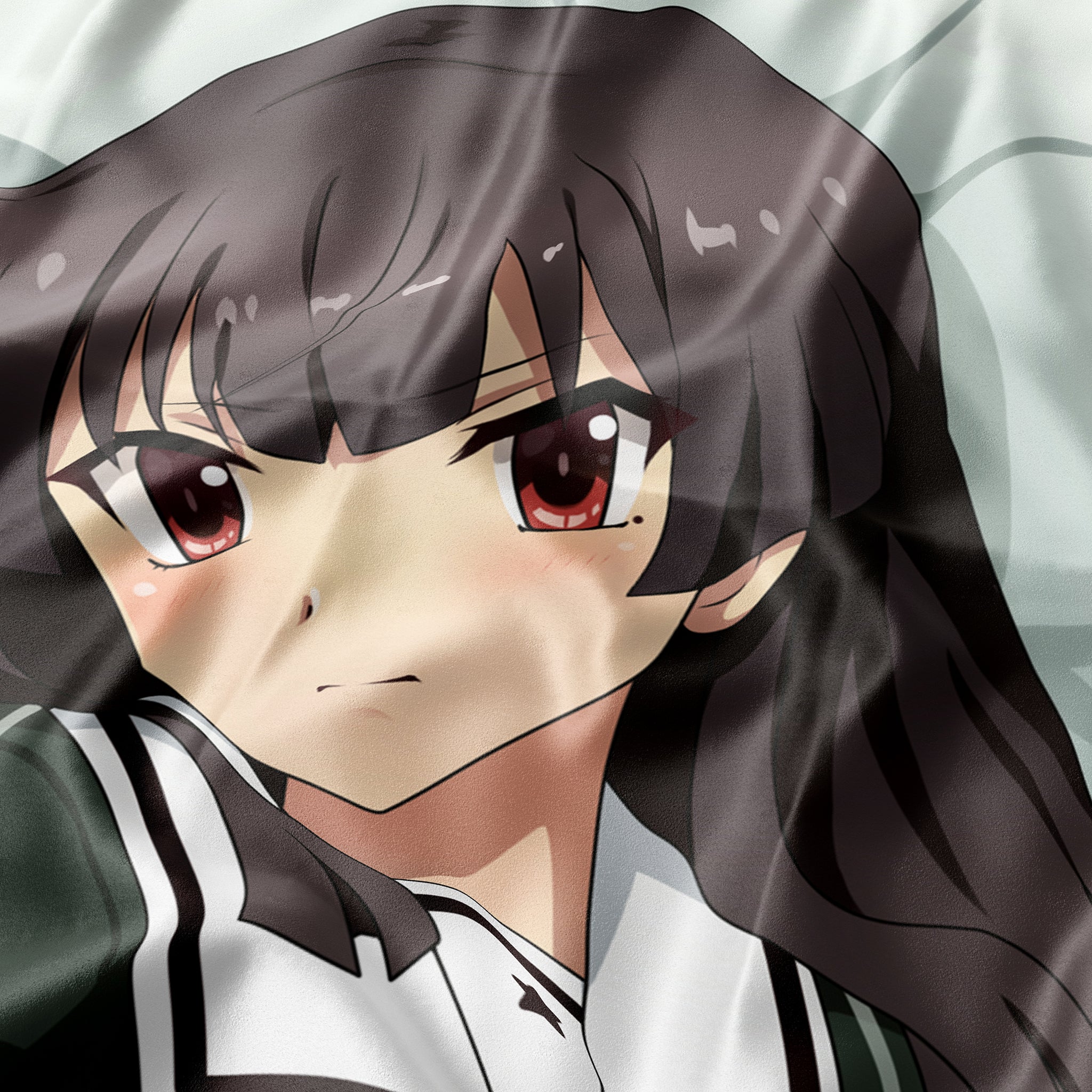 Joujou Himewa - AnimePillow Fan-Art Edition