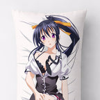 Akeno Himejima - AnimePillow Fan-Art Edition