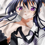Akeno Himejima - AnimePillow Fan-Art Edition