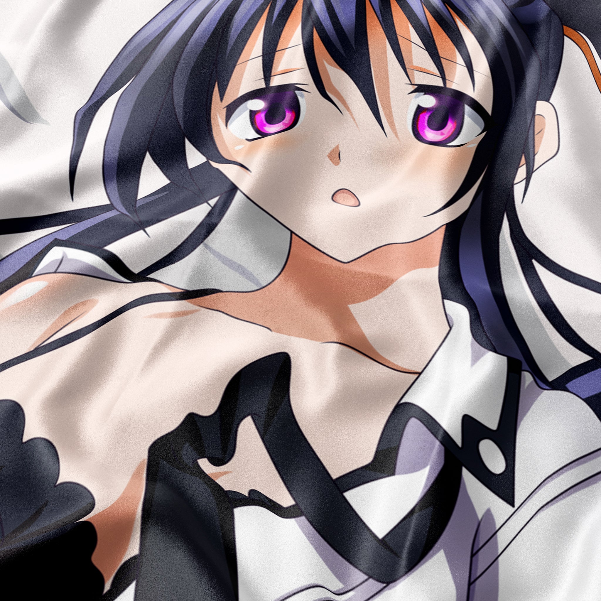 Akeno Himejima - AnimePillow Fan-Art Edition