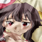 Megumin - AnimePillow Fan-Art Edition