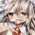 Illyasviel von Einzbern (Magical Girl Ver.) - AnimePillow Fan-Art Edition