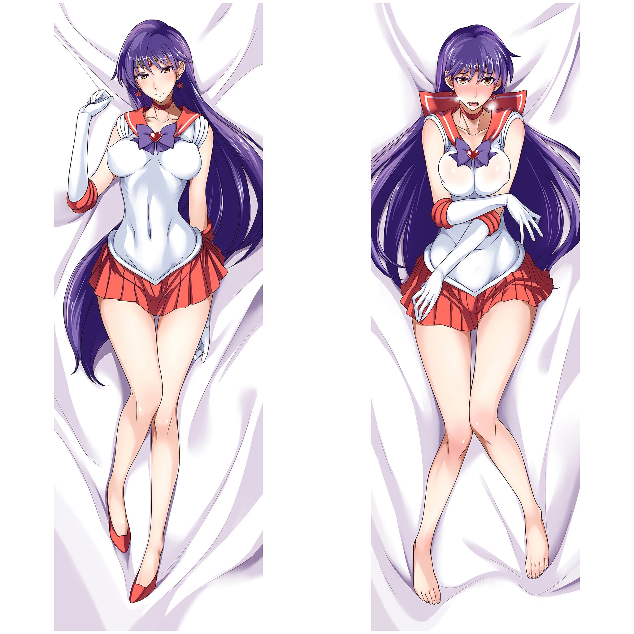 Rei Hino (Sailor Mars) - AnimePillow Fan-Art Edition