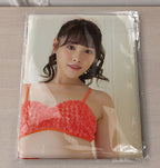 Arina Hashimoto Ver.5 - Actress Pillowcase Fan-Art Edition