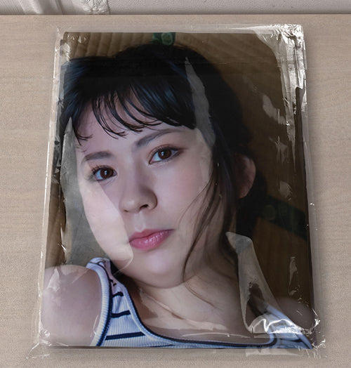 Alice Kisaki Ver.1 - Actress Pillowcase Fan-Art Edition