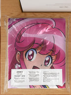 Megumi & Hime A - Anime Inflatable Body Pillow Fan-Art Edition